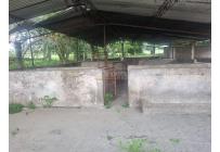 Fincas y Casas Campestres, Venta, Guacarí - $1.300.000.000