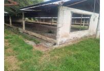 Fincas y Casas Campestres, Venta, Guacarí - $1.300.000.000