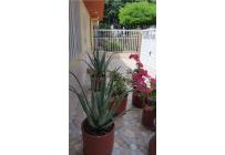 Apartaestudios, Alquiler, Vipasa - $1.000.000