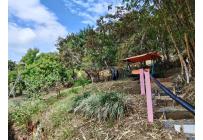 Apartamentos, Alquiler, Chorro de Plata