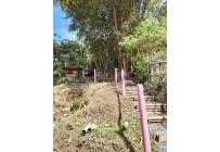 Apartamentos, Alquiler, Chorro de Plata