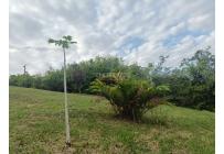 Lotes, Venta, Jamundí - $430.000.000
