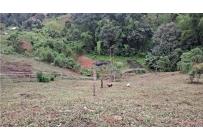 Fincas y Casas Campestres, Venta, Dagua - $320.000.000