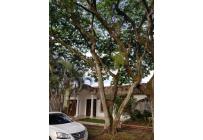 Casas, Venta, La Flora - $950.000.000