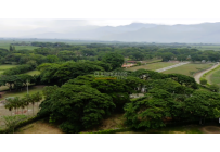Lotes, Venta, Palmira - $487.500.000