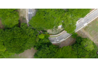 Lotes, Venta, Palmira - $487.500.000