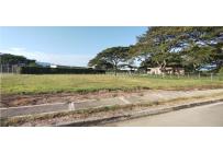 Lotes, Venta, Palmira - $487.500.000
