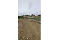 Fincas y Casas Campestres, Venta, Calima (Darién) - $1.065.420.000