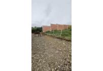 Fincas y Casas Campestres, Venta, Calima (Darién) - $1.065.420.000
