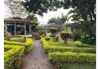 Lotes, Venta, Candelaria - $980.000.000