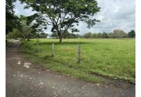 Fincas y Casas Campestres, Venta, Bugalagrande - $2.800.000.000