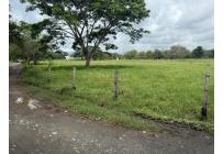 Fincas y Casas Campestres, Venta, Bugalagrande - $2.800.000.000