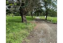 Fincas y Casas Campestres, Venta, Bugalagrande - $2.800.000.000