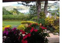 Fincas y Casas Campestres, Venta, Calima (Darién) - $950.000.000