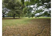 Lotes, Venta, Palmira - $480.000.000