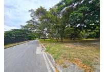 Lotes, Venta, Palmira - $480.000.000