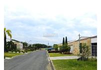 Lotes, Venta, Palmira - $480.000.000