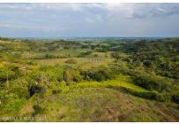 Lotes, Venta, Pance - $1.100.000.000