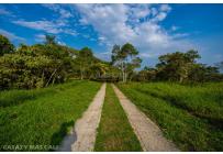 Lotes, Venta, Pance - $1.100.000.000