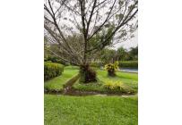 Casas, Venta, Pance - $1.800.000.000