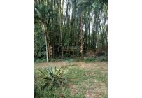 Casas, Venta, Jamundí - $230.000.000