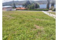 Lotes, Venta, Calima (Darién) - $300.000.000
