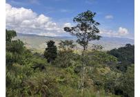Lotes, Venta, Dagua - $180.000.000