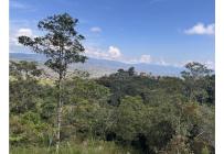 Lotes, Venta, Dagua - $180.000.000