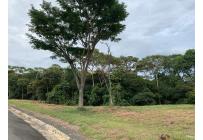 Lotes, Venta, Pance - $950.000.000