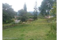 Lotes, Venta, Arbelaez - $176.200.000