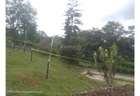 Lotes, Venta, Arbelaez - $283.880.000