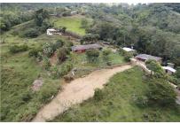 Fincas y Casas Campestres, Venta, Pance - $800.000.000