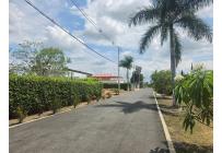 Lotes, Venta, El Cerrito - $145.000.000