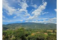 Lotes, Venta, Palmira - $360.000.000