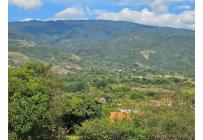 Lotes, Venta, Palmira - $360.000.000
