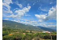 Lotes, Venta, Palmira - $360.000.000