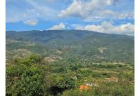Lotes, Venta, Palmira - $360.000.000