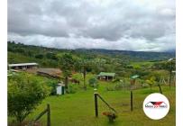 Fincas y Casas Campestres, Venta, Dagua - $280.000.000