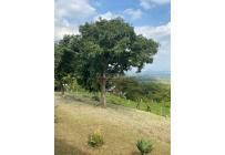 Fincas y Casas Campestres, Venta, Pance - $790.000.000