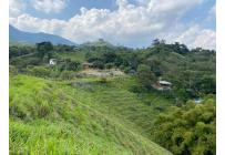 Fincas y Casas Campestres, Venta, Pance - $790.000.000