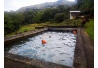 Fincas y Casas Campestres, Venta, Pance - $790.000.000