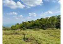 Fincas y Casas Campestres, Venta, Pance - $790.000.000