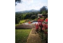 Fincas y Casas Campestres, Venta, Pance - $790.000.000