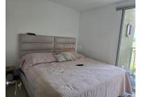 Apartamentos, Venta, Palmira - $460.000.000