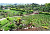 Fincas y Casas Campestres, Venta, Calima (Darién) - $850.000.000