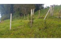 Lotes, Venta, La Cumbre - $250.000.000