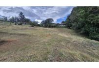 Lotes, Venta, Calima (Darién) - $215.000.000