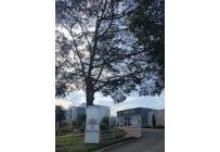 Apartamentos, Alquiler, Pance - $7.000.000
