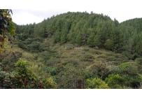 Fincas y Casas Campestres, Venta, Dagua - $520.000.000