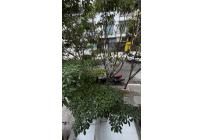 Apartamentos, Alquiler, El Ingenio - $3.650.000